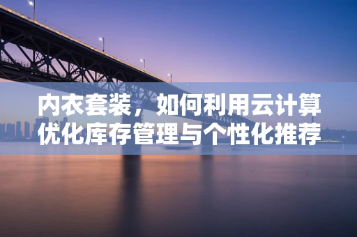内衣套装，如何利用云计算优化库存管理与个性化推荐？