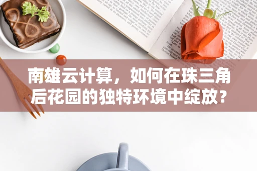 南雄云计算，如何在珠三角后花园的独特环境中绽放？