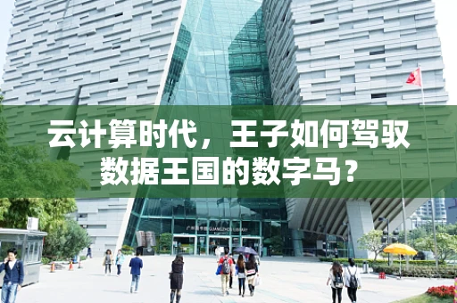 云计算时代，王子如何驾驭数据王国的数字马？