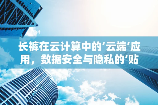 长裤在云计算中的‘云端’应用，数据安全与隐私的‘贴身’守护者