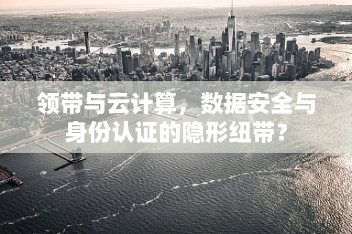 领带与云计算，数据安全与身份认证的隐形纽带？