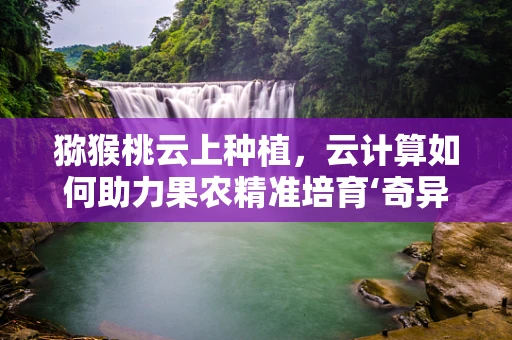 猕猴桃云上种植，云计算如何助力果农精准培育‘奇异果’？
