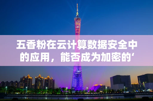五香粉在云计算数据安全中的应用，能否成为加密的‘秘密武器’？