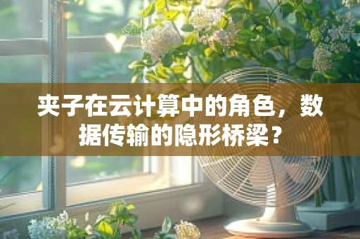 夹子在云计算中的角色，数据传输的隐形桥梁？