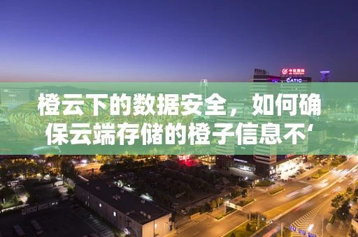 橙云下的数据安全，如何确保云端存储的橙子信息不‘酸’？