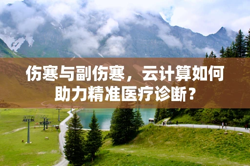 伤寒与副伤寒，云计算如何助力精准医疗诊断？