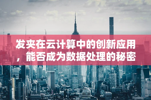 发夹在云计算中的创新应用，能否成为数据处理的秘密武器？