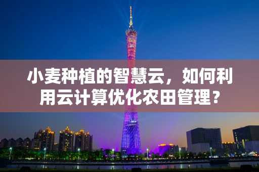 小麦种植的智慧云，如何利用云计算优化农田管理？