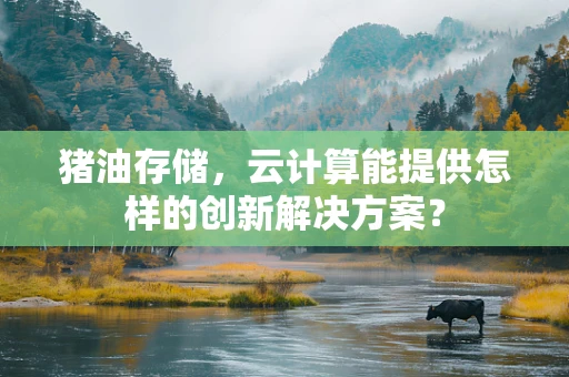 猪油存储，云计算能提供怎样的创新解决方案？