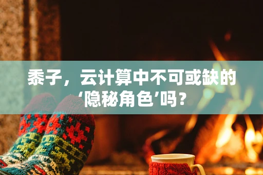 黍子，云计算中不可或缺的‘隐秘角色’吗？