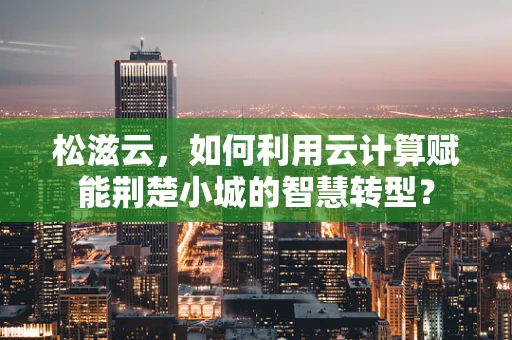 松滋云，如何利用云计算赋能荆楚小城的智慧转型？