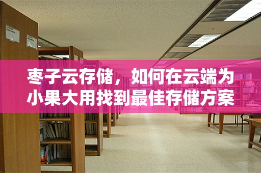 枣子云存储，如何在云端为小果大用找到最佳存储方案？