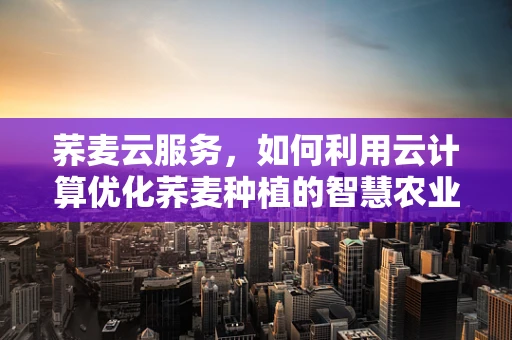 荞麦云服务，如何利用云计算优化荞麦种植的智慧农业解决方案？