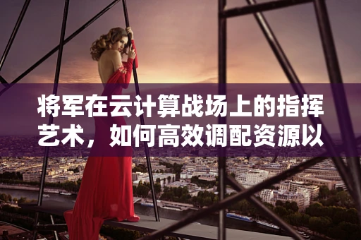 将军在云计算战场上的指挥艺术，如何高效调配资源以决胜千里？