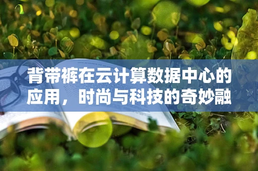 背带裤在云计算数据中心的应用，时尚与科技的奇妙融合？