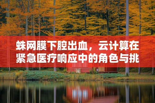 蛛网膜下腔出血，云计算在紧急医疗响应中的角色与挑战