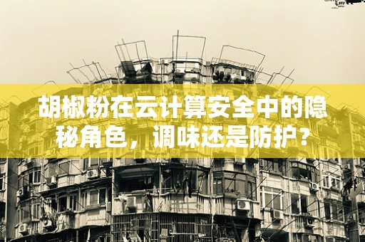胡椒粉在云计算安全中的隐秘角色，调味还是防护？