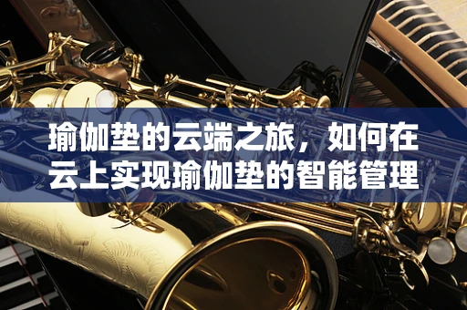 瑜伽垫的云端之旅，如何在云上实现瑜伽垫的智能管理与共享？