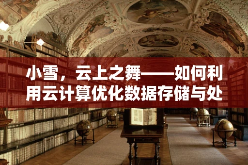 小雪，云上之舞——如何利用云计算优化数据存储与处理？
