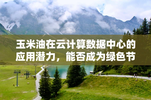 玉米油在云计算数据中心的应用潜力，能否成为绿色节能的‘新宠’？