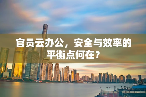 官员云办公，安全与效率的平衡点何在？