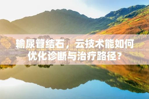 输尿管结石，云技术能如何优化诊断与治疗路径？