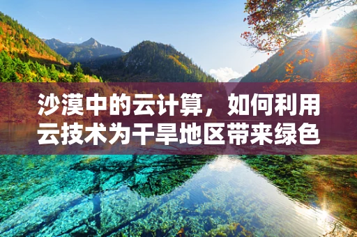 沙漠中的云计算，如何利用云技术为干旱地区带来绿色希望？