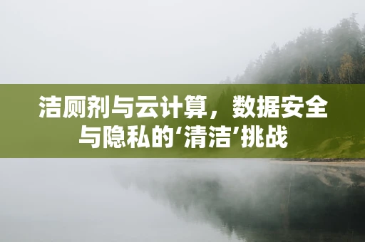 洁厕剂与云计算，数据安全与隐私的‘清洁’挑战