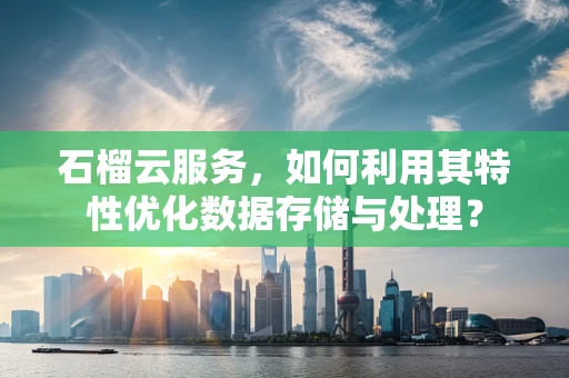 石榴云服务，如何利用其特性优化数据存储与处理？