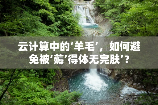 云计算中的‘羊毛’，如何避免被‘薅’得体无完肤’？