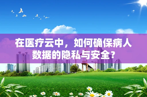 在医疗云中，如何确保病人数据的隐私与安全？
