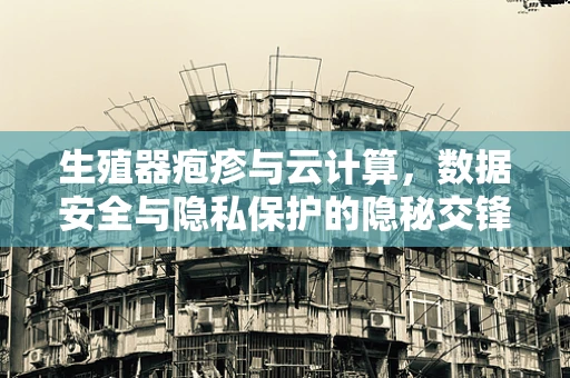 生殖器疱疹与云计算，数据安全与隐私保护的隐秘交锋