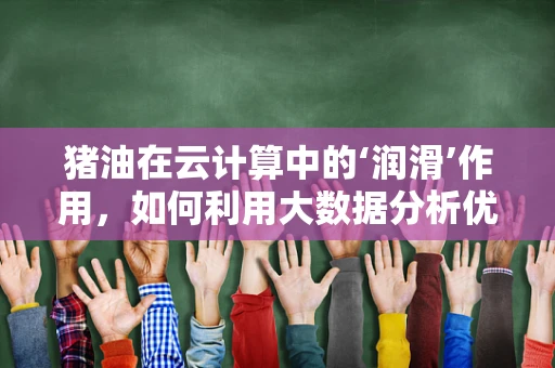 猪油在云计算中的‘润滑’作用，如何利用大数据分析优化存储与传输？