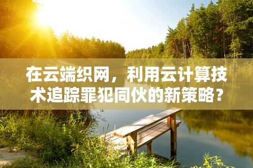 在云端织网，利用云计算技术追踪罪犯同伙的新策略？