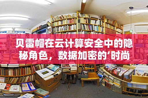 贝雷帽在云计算安全中的隐秘角色，数据加密的‘时尚’守护者？