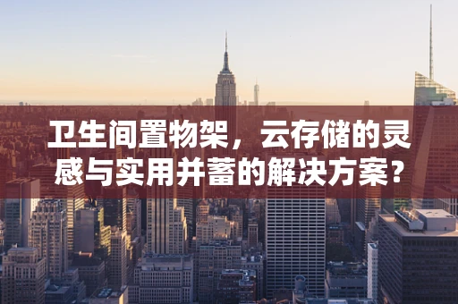 卫生间置物架，云存储的灵感与实用并蓄的解决方案？