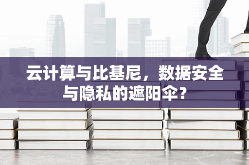 云计算与比基尼，数据安全与隐私的遮阳伞？