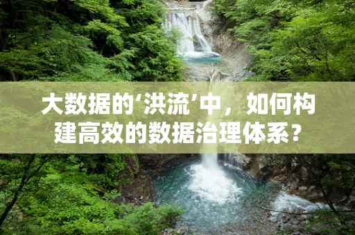 大数据的‘洪流’中，如何构建高效的数据治理体系？