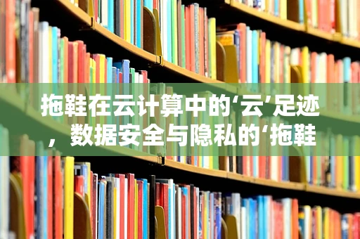 拖鞋在云计算中的‘云’足迹，数据安全与隐私的‘拖鞋’效应
