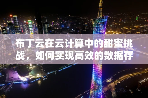 布丁云在云计算中的甜蜜挑战，如何实现高效的数据存储与处理？