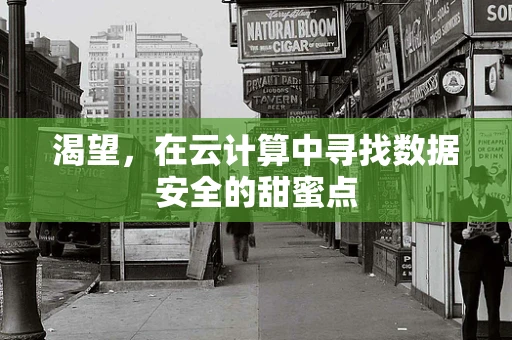 渴望，在云计算中寻找数据安全的甜蜜点