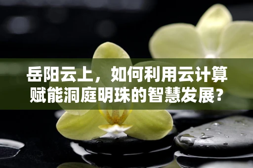 岳阳云上，如何利用云计算赋能洞庭明珠的智慧发展？