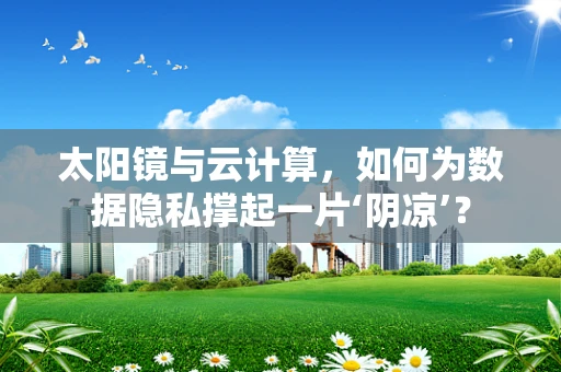 太阳镜与云计算，如何为数据隐私撑起一片‘阴凉’？