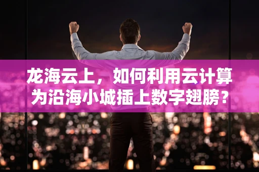 龙海云上，如何利用云计算为沿海小城插上数字翅膀？
