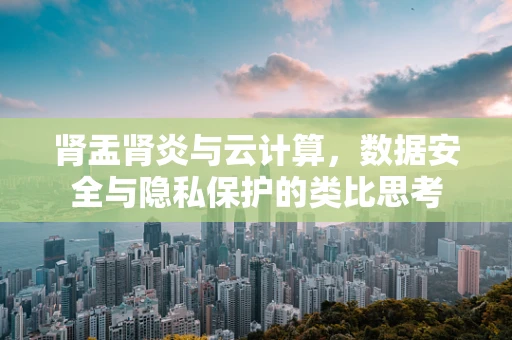 肾盂肾炎与云计算，数据安全与隐私保护的类比思考