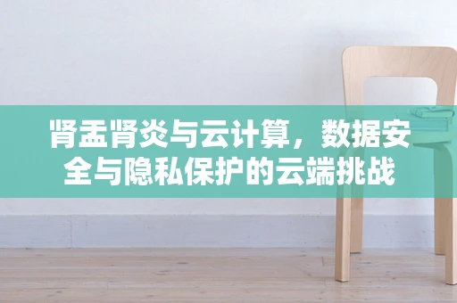 肾盂肾炎与云计算，数据安全与隐私保护的云端挑战