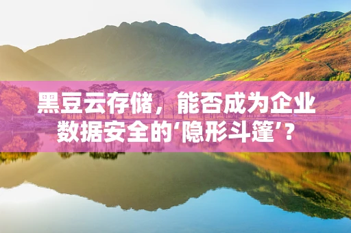 黑豆云存储，能否成为企业数据安全的‘隐形斗篷’？