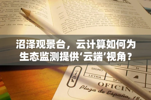 沼泽观景台，云计算如何为生态监测提供‘云端’视角？