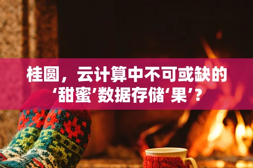 桂圆，云计算中不可或缺的‘甜蜜’数据存储‘果’？