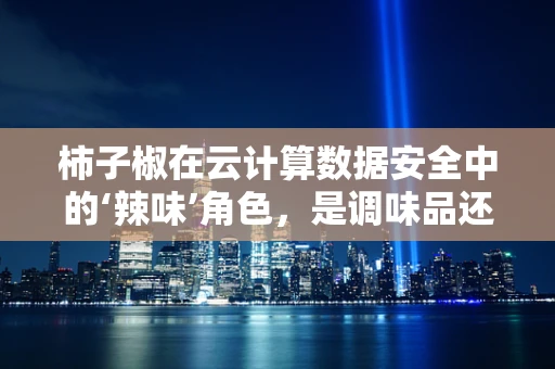 柿子椒在云计算数据安全中的‘辣味’角色，是调味品还是守护者？